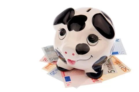 Pig on bed of banknotes Stock Photos