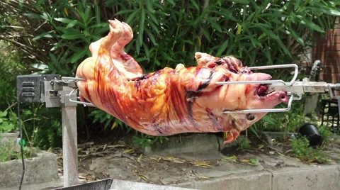 Pig being roasted over hot coals on a spit Stock Footage 58275338