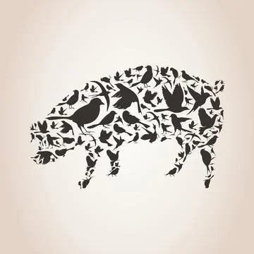 Pig from birds 스톡 일러스트