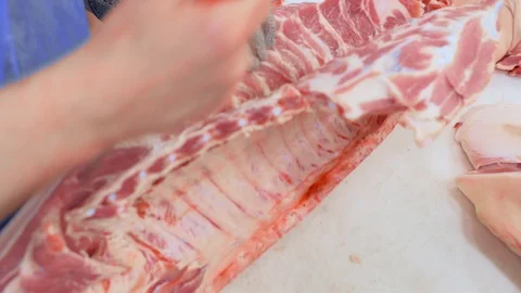 Pig carcasses close up on hooks against the background of a meat processing Stock-Footage 129579942