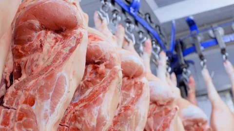 Pig carcasses close up on hooks against the background of a meat processing Stock-Footage 129579944