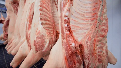 Pig carcasses close up on hooks against the background of a meat processing Stock-Footage 129580004