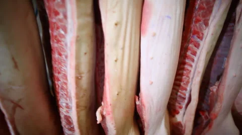 carcasses of beef hanging on hooks close, Stock Video