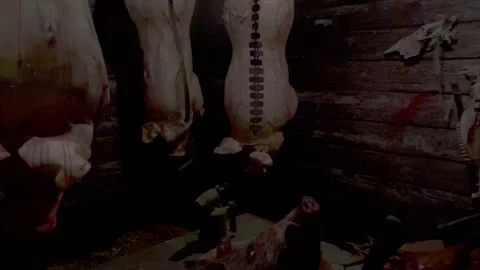 Pig carcasses hung on hooks Stock Footage 257719779
