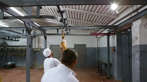 Pig carcasses of two men moving in a butcher factory Stock Footage 129305930