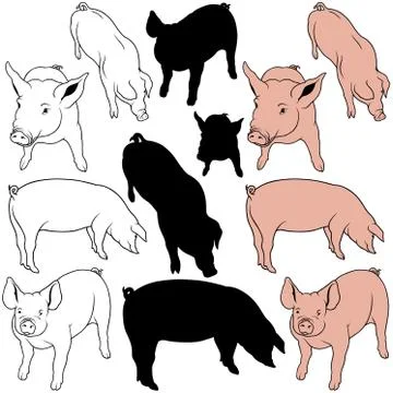 Pig Collection Stock Illustration