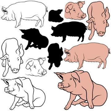 Pig Collection Stock Illustration