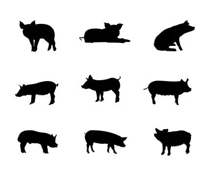 Pig collection Stock Illustration