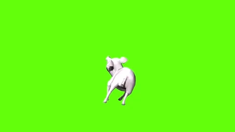 Pig death  green screen animation 3D rendering Stock Footage 297770502