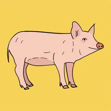 Pig in doodle style Stock Illustration