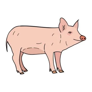 Pig in doodle style Stock Illustration