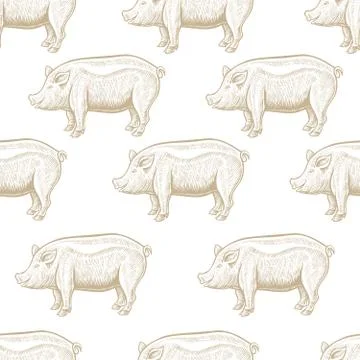 Pig engraving seamless pattern. イラスト素材