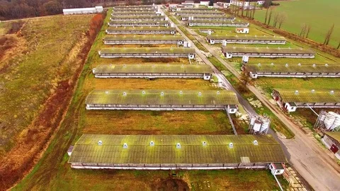 Pig farm from above. 스톡 동영상 71857606