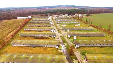Pig farm from above. Video stock 71862738