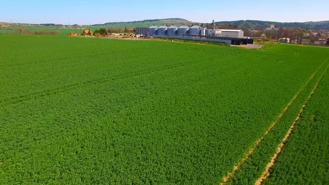 Pig farm from above. Stock Footage 106942839