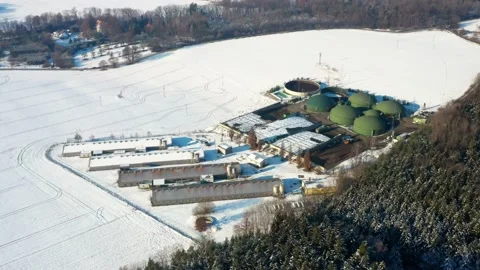 Pig farm from above. Stock Footage 148501344