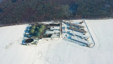Pig farm from above. Stock Footage 148502034