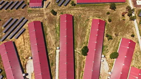 Pig farm with multiple buildings and solar panels in the field during daytime 스톡 동영상 340953916