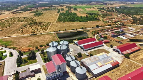 Pig farm in rural area with fields and structures during daytime Stock Footage 341703488