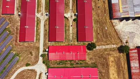 Pig farm setup with red roofs and solar panels in the countryside during daytime Stock Footage 341387173