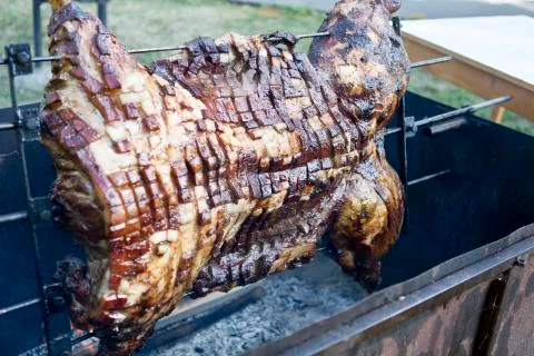 Pig on the fire Stock Photos