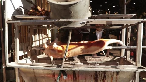 Pig Getting Roast 스톡 동영상 154231620