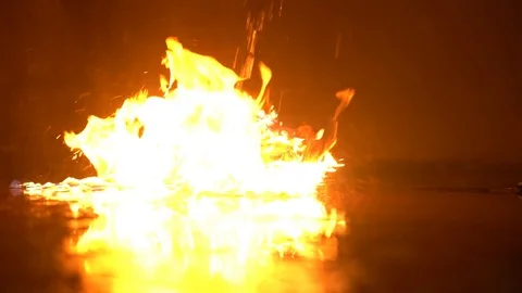 Pig head in fire indoor video Video stock 119620710