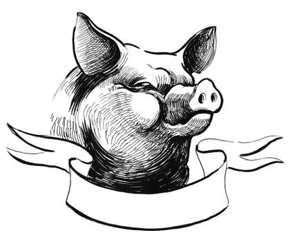 Pig head Stock Illustration