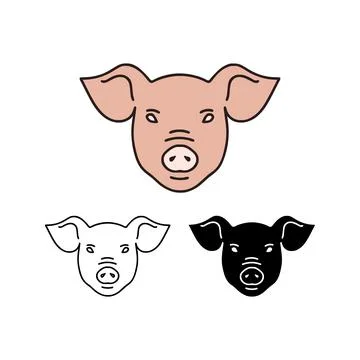 Pig head vector illustration in 3 styles isolated on white background. Stock Illustration