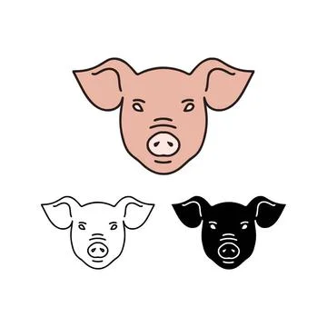  Pig head vector illustration in 3 styles isolated on white background. Pi... Stock Photos