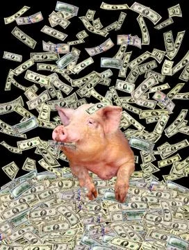 Pig on the heap of dollars Stock Photos