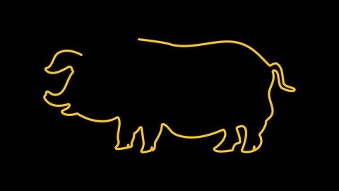 Pig Icon, animation Video stock 98284252