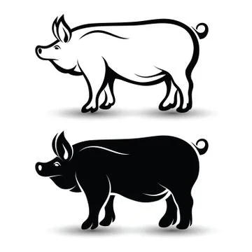 Pig Stock Illustration