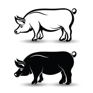Pig Stock Illustration