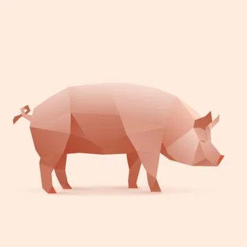 Pig Stock Illustration