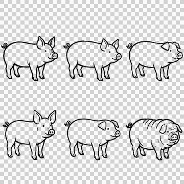 Pig Stock Illustration