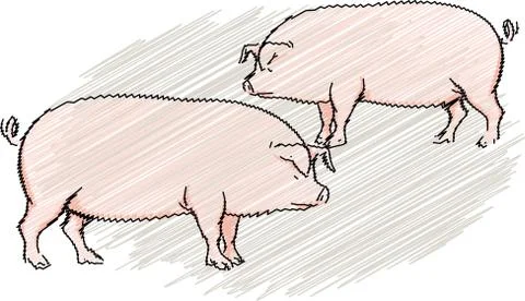 Pig illustration Stock Illustration