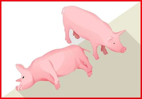 Pig isometric flat vector 3d Pig isometric flat vector 3d illustration. Sw... Stock Photos