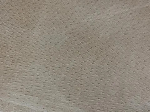 Pig leather Stock Photos