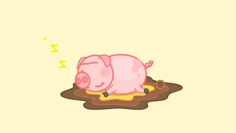 The pig lies in the mud Stock Footage 90098194