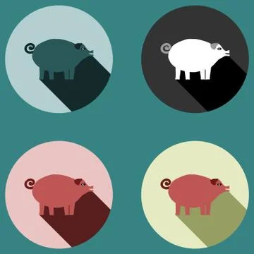 Pig with long shadow - four colored variations Stock Illustration