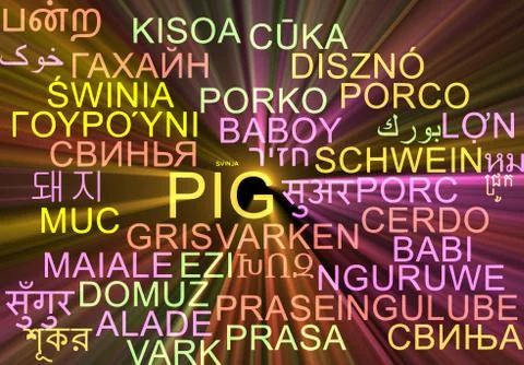 Pig multilanguage wordcloud background concept glowing Stock Illustration