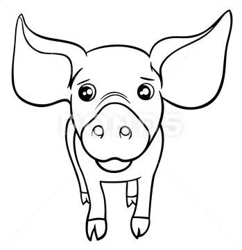 Pig or piglet coloring page Stock Illustration