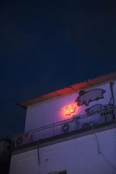 Pig Pattern Neon sign Stock Photos