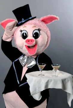 Pig Stock Photos