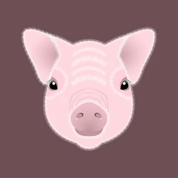 Pig, piglet. Face. Vector illustration. Nice style. Chinese New Year. Symbol  Stock Illustration