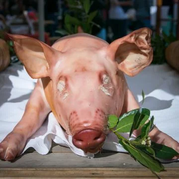 Pig ready to be cooked on the spit Stock Photos
