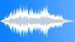 Pig scream 02Sound Effect