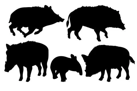 Pig silhouette vector for websites, graphics related artwork Stock Illustration