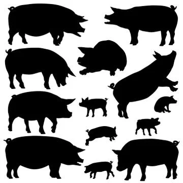 Pig silhouettes Stock Illustration